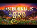 Musica Instrumental de Oro Para Escuchar Grandes Hits Instrumentales