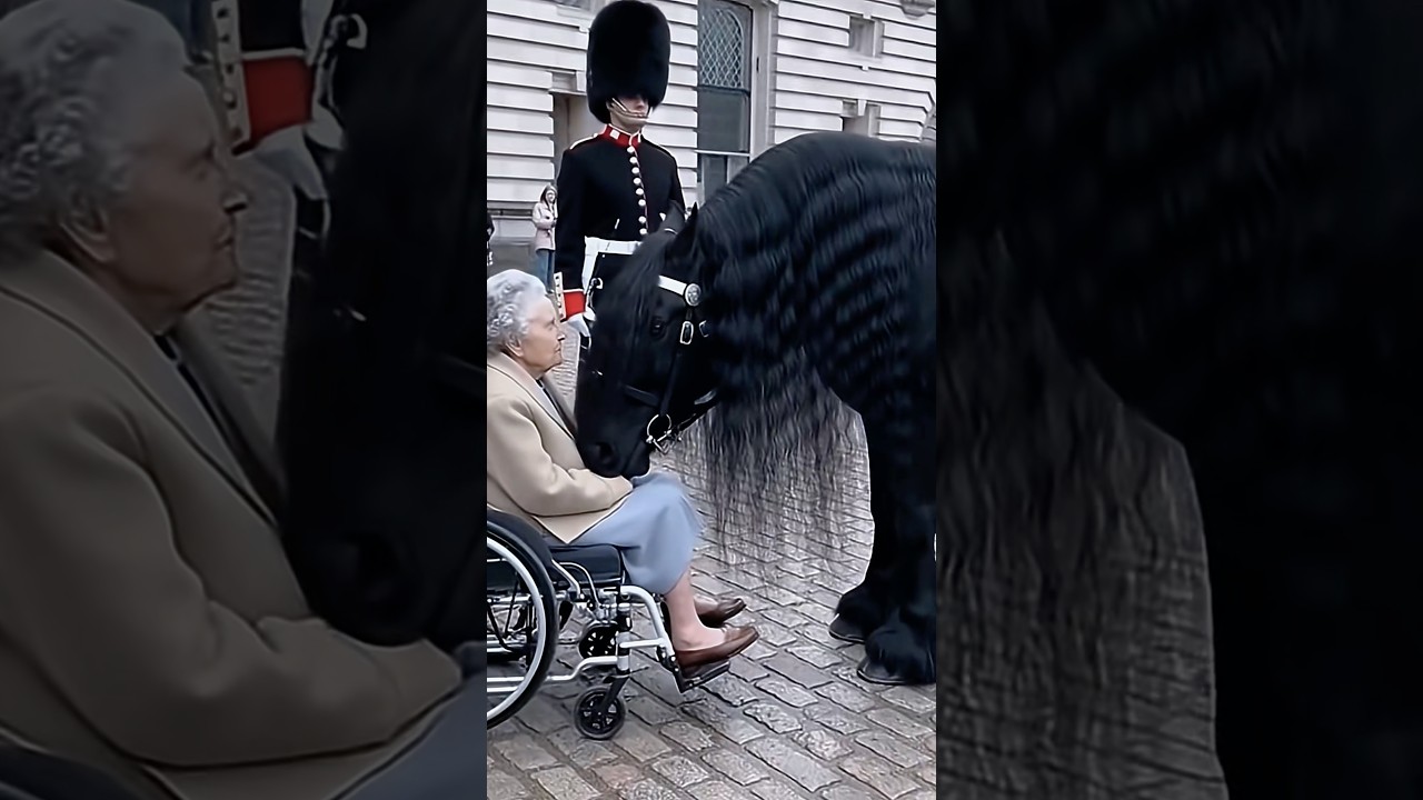 Respect #respect #fypシ #foryou