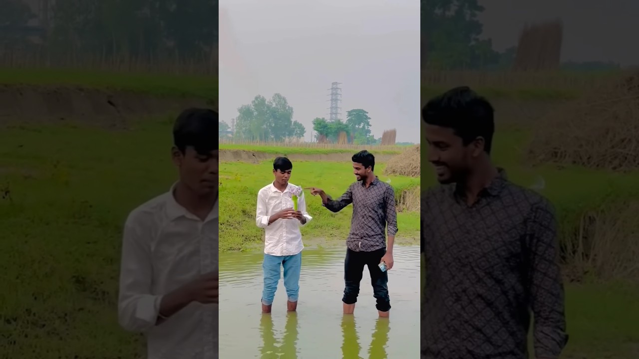 Cinematic Reverse Videography 