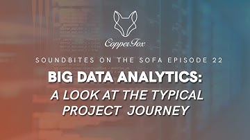 Unleashing Business Insights: Navigating the Big Data Analytics Journey | Sound Bites on the Sofa 22