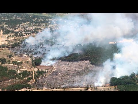 Debate: el trabajo de bomberos para combatir los incendios forestales