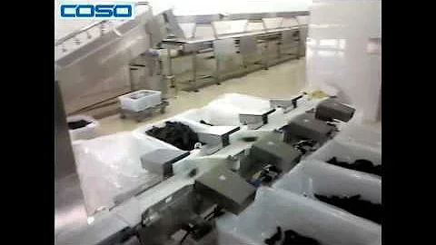 COSO Automatic Checkweigher for Seafood