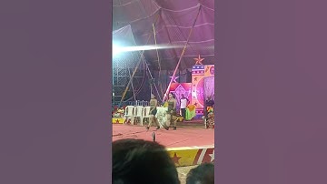 Gemini Circus 🤩Rajgir #Malmas#Mela#2023#viral#video