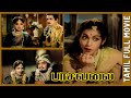 Pasavalai  1956  m k radha  g varalakshmi  tamil super hit golden full movie  bicstol