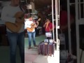 Pájaro  Chogui (indio pitagua) musica con sonido andno