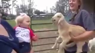 Jagnje I Dijete Lamb And Child