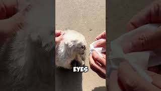 Download Lagu Give her a thumbs up MP3