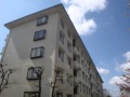 志木ニュータウン 南の森 壱番街 9号棟 志木市館1丁目
