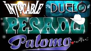 INTOCABLE,PALOMO,DUELO