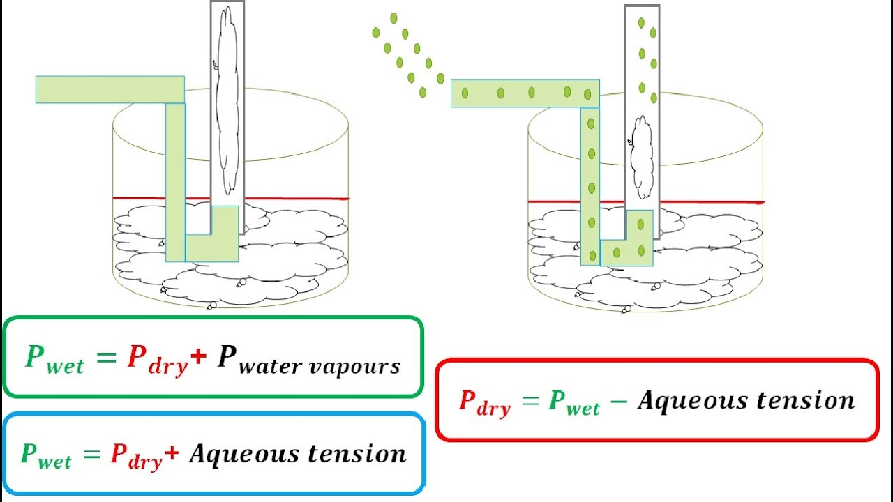 Ch3Lec8 Applications of Dalton's law Respiration in pressurized