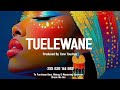 Bongo Fleva X Dayoo X Ibrah Tz X Platform X Anjera Typebeat Instrumental TUELEWANE 2025 