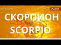 СКОРПИОН | МОЁ ВИДЕНЬЕ | ЭКСТРАСЕНС ЛИЛИЯ НОР