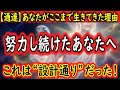 【通告】あなたがここまで生きてきた理由──プレアデス最高評議会が明かすスターシード魂の設計図とは？