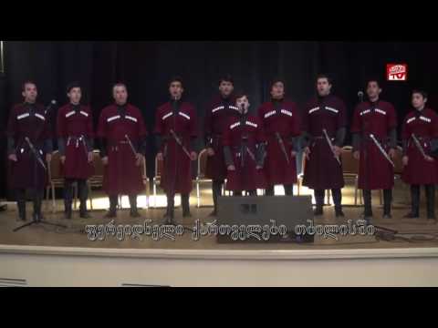 \"ემიგრანტები, ანუ სხვა საქართველო აქ არის\"-    3