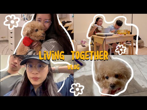 Living Together VLOG 同居日常 ｜ costco購物、法式吐司、又吃火鍋、幫小狗狗刷牙
