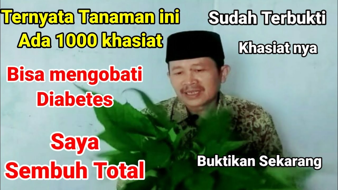 Jamu Diabetes, HERBAL DIABETES PALING AMPUH,Yang Mudah Di Cari