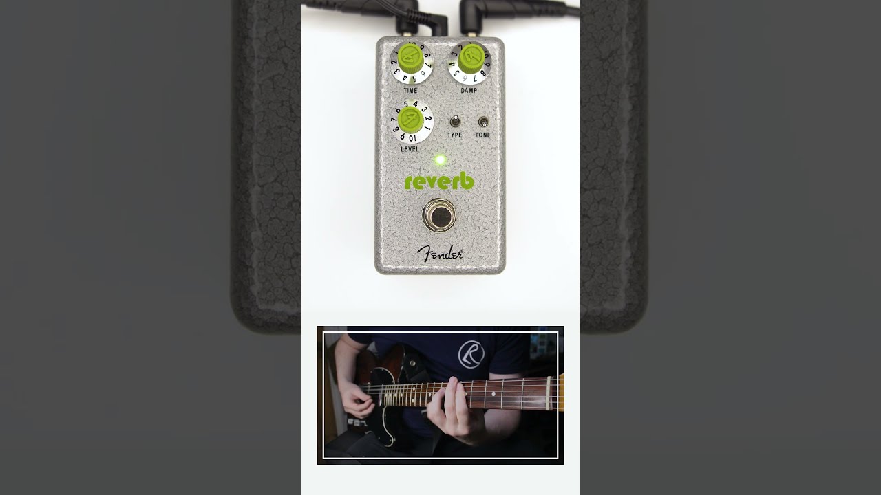 Fender - Hammertone Reverb #guitar #reverb #guitarist