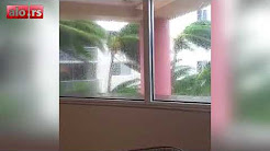 Uragan "Irma" u Majamiju