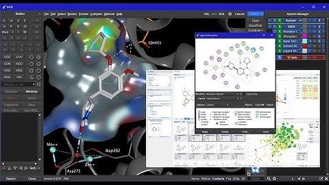 MOE. Molecular docking on moe how to make library and dock with compound