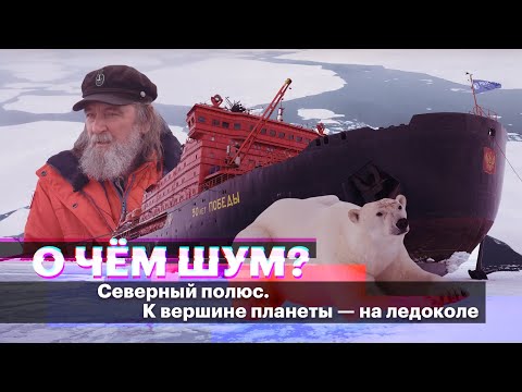 Video: Kako polarnost vpliva na Zemljo?