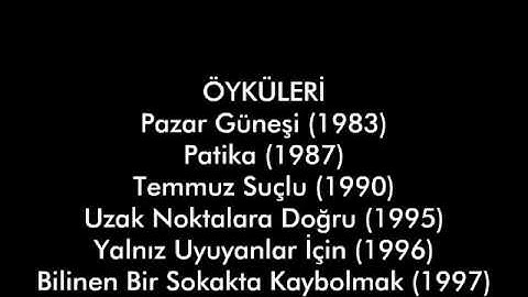 VASML YOLUN BAŞINDAKİLER YAZARIN HAYATI