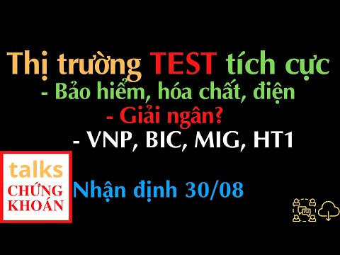 30/08: TEST tích cực, nỗ lực hồi phục, VNP, BIC, MIG, HT1| Nhận định thị trường chứng khoán hôm nay