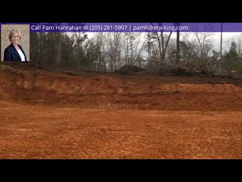 2860 Village Springs Rd, Springville, AL home video tour