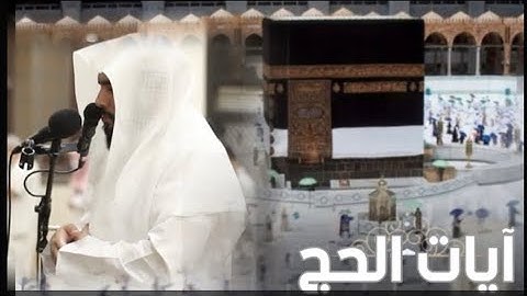 تلاوة حجازية لـ آيات الحج من سورة البقرة بطبقة القرار للقارئ عبدالرحمن العويّد عشائيات ذي الحجة 1443
