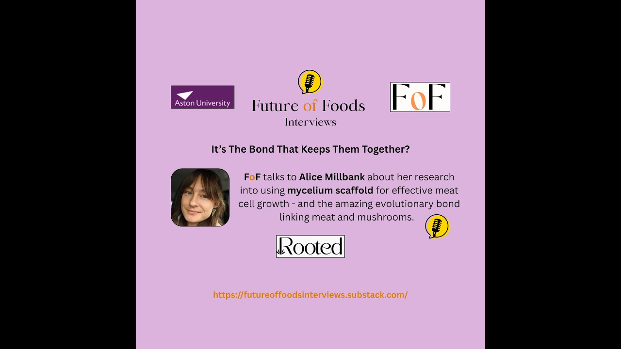 The Evolutionary Bond Between Animal and Mushroom - Cell Cultivation and Scaffolds
