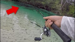 That was HUGE! Fishing ULTRA Clear Natural Spring!!