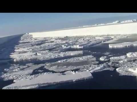 Wilkins ice shelf break up British Antarctic Survey