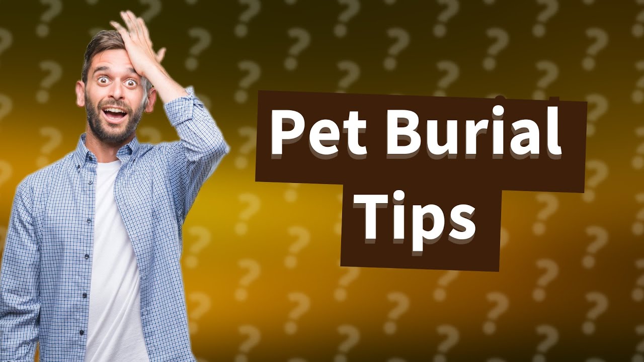 How Deep Should I Bury My Pet YouTube How Deep Should I Bury My Pet YouTube