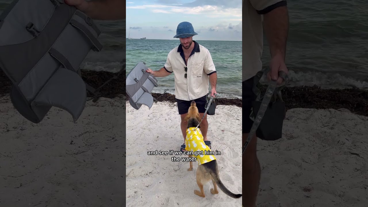 Rescue Puppy Tries Swimming For First Time
