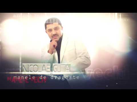Nicolae Guta - Am gasit in geanta ta
