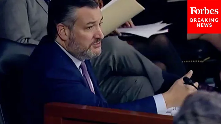 Ted Cruz: How To Take On Big Tech Monopolies