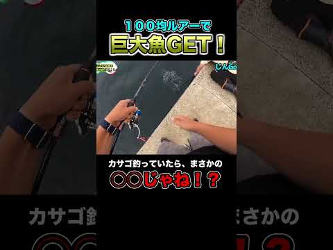 100均ルアーでまさかの巨大魚ゲット！#shorts #釣りよかでしょう #釣りよか #釣り #fishing #堤防 #離島 #離島生活 #親子共同作業 #100均