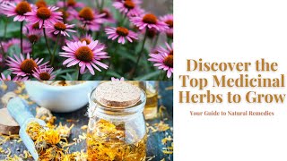 Discover the Top Medicinal Herbs to Grow: Your Guide to Natural Remedies