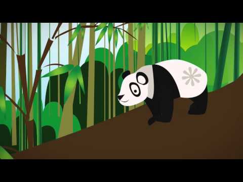 Video: Mistä on kyllästynyt panda?