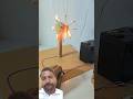Matchstick + DC Motor Science Experiment | Easy DIY Projec experiment #science #dcmotor #diy #shorts