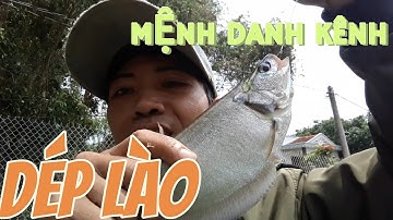 ĐỊA ĐIỂM MỚI ,câu cá rô đồng, thác lác .Được cần thủ địa phương gọi là con kênh *dép lào*.