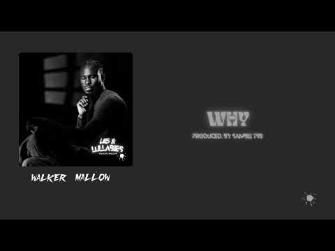 WALKER MALLOW - WHY