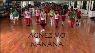 NANANA - AGNEZ MO | ZUMBA | CHOREO BY YP.J