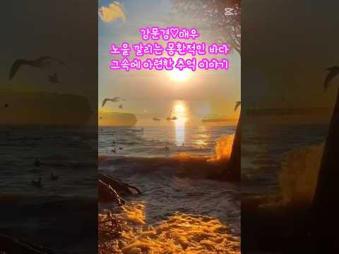 부산 가덕도의 노을지는 몽환적인 풍경 #감성영상 #힐링영상 #강문경