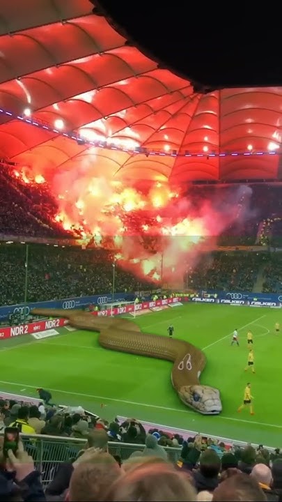 Python🐍 in Football Stadium 🛣️ #python #snake #attack #shorts # ...