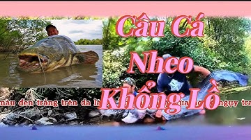 Câu con cá Nheo lớn trên sông. Catch fish #fishing #viralvideo