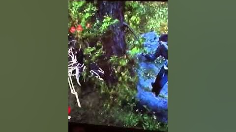 Assassins creed 3 man stuck in a tree