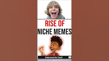 Niche Memes Are Taking Over the Internet! 😂