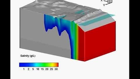 Modeling ocean surge introduced groundwater salinization process