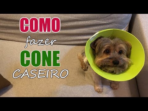 Vídeo: Como fazer um colar de pulgas caseiro para um cão