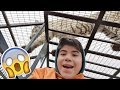 Un Tigre blanco paso arriba mio!! | Safari Rancagua